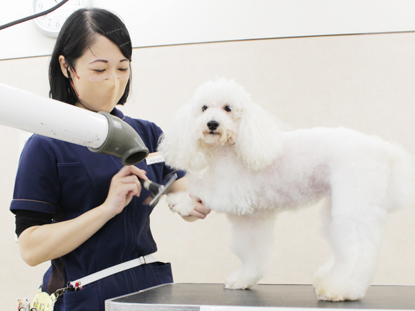 先生の試技を１年生が見学☆ＰＡＲＴ①☆